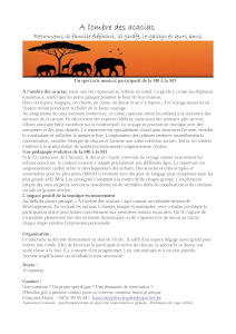 Descriptif Spectacle